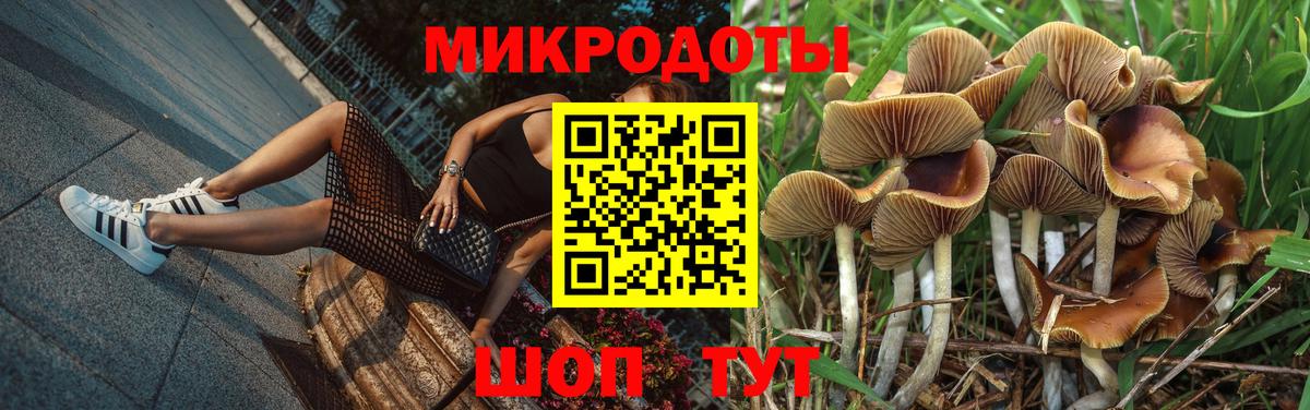 Псилоцибиновые грибы ЛСД Богородицк